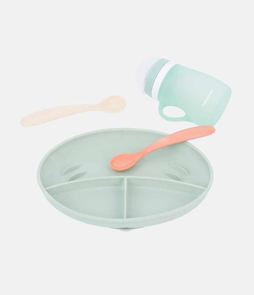 Taste ISY 2-Piece Silicone Bowl & Spoon Weaning Set – Babymoov Cyprus