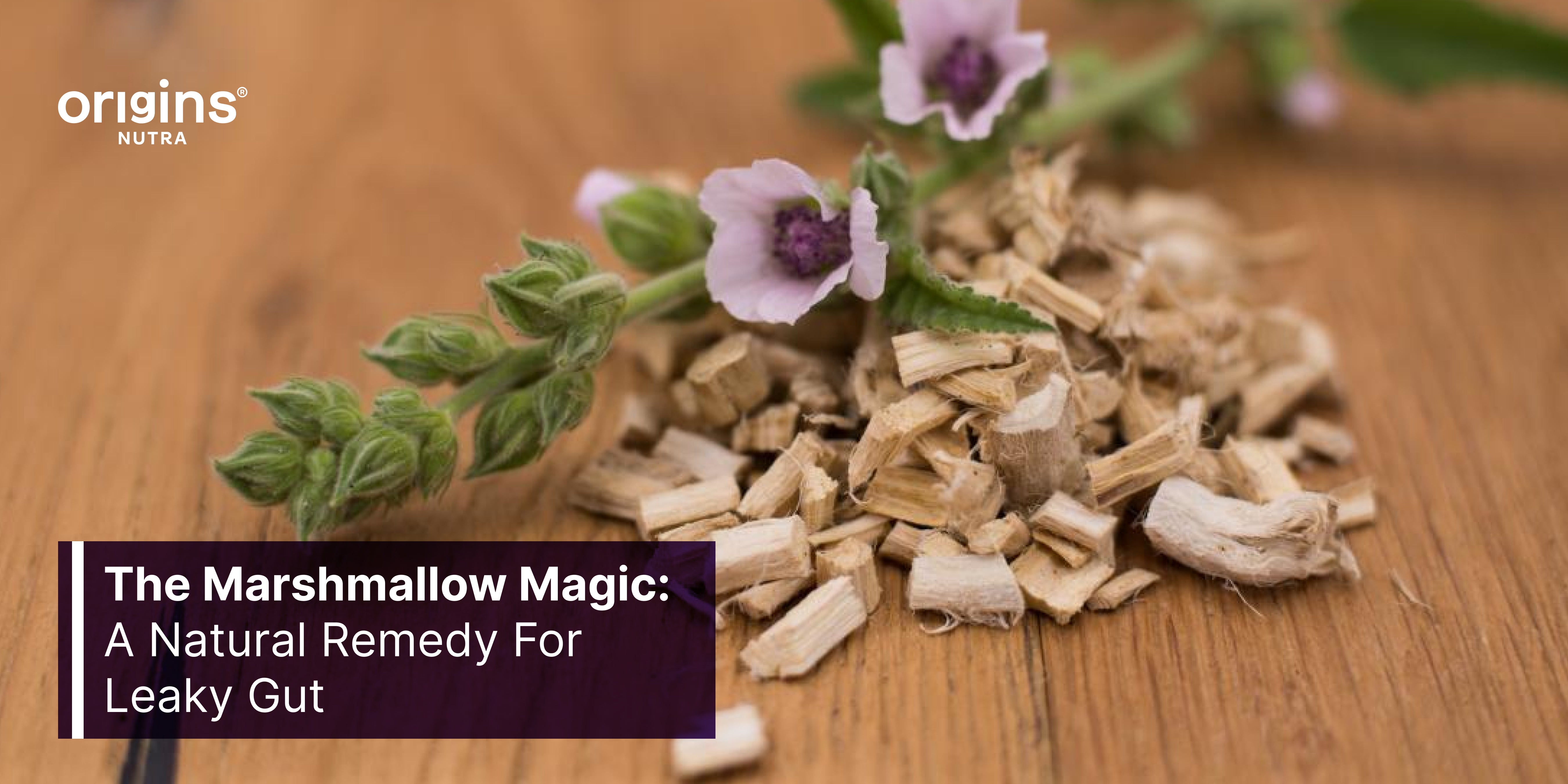 The Marshmallow Magic: A Natural Remedy For Leaky Gut