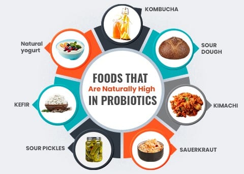 Probiotic Rich Food
