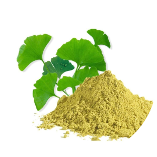 Ginkgo Biloba Extract image