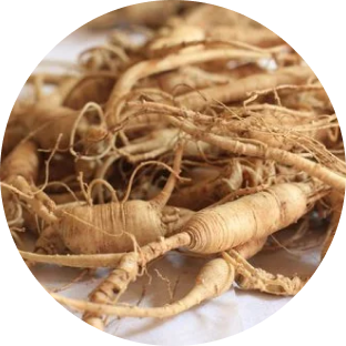 Panax Ginseng ingredient image