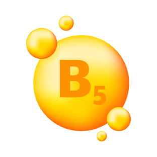 Pantothenic Acid (Vitamin B5)