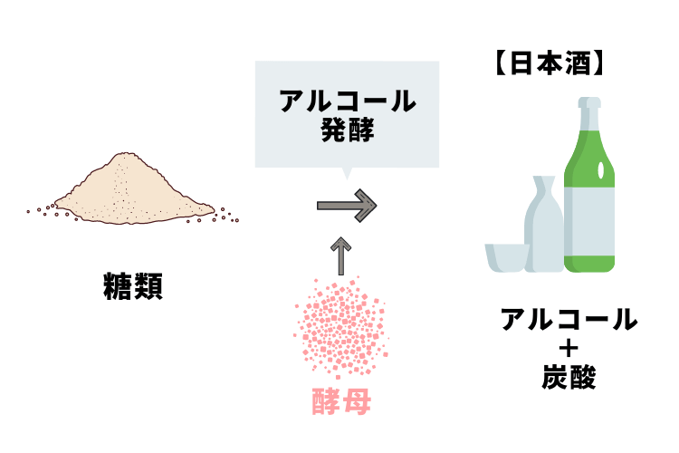 酵母の働き