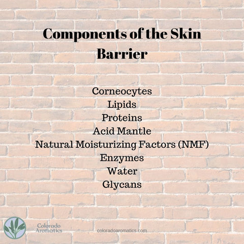 Brick wall to illustrate the Skin Barrier Function