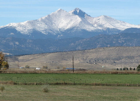 Longs and Meeker Peaks from Colorado Aromatics Farm