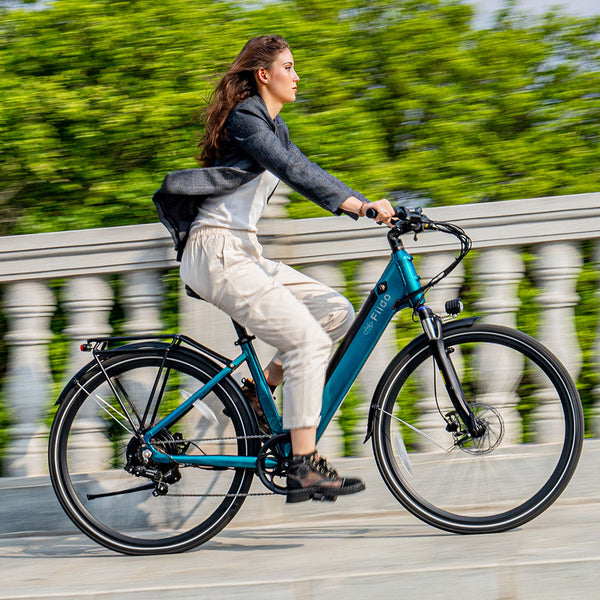 Fiido C11 bici elettriche da città