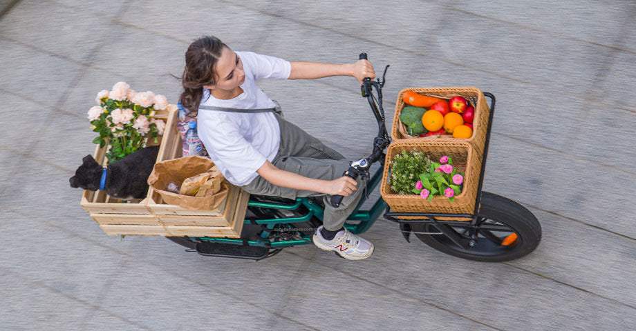 Donna che guida una Fiido T2 e-bike con carico