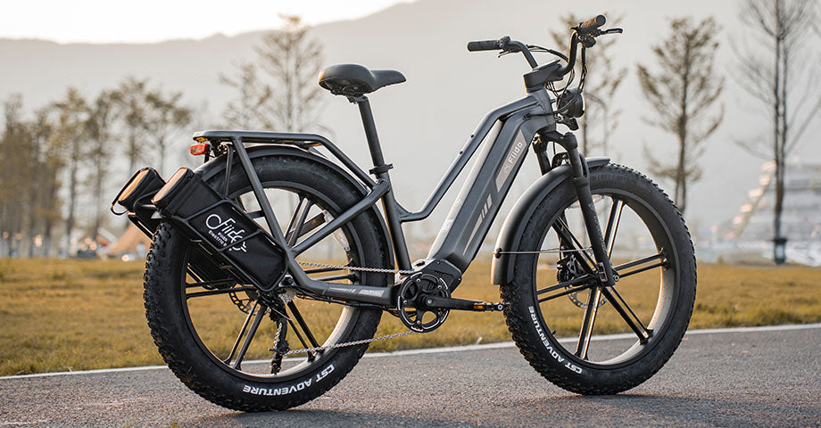 Fiido Titan E-bike parcheggiata sulla pista