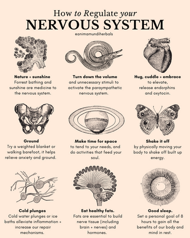 https://animamundiherbals.com/blogs/blog/13-ways-to-regulate-and-restore-your-nervous-system