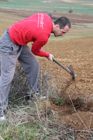 Paladim Foundation Appreciate Nature Vasil