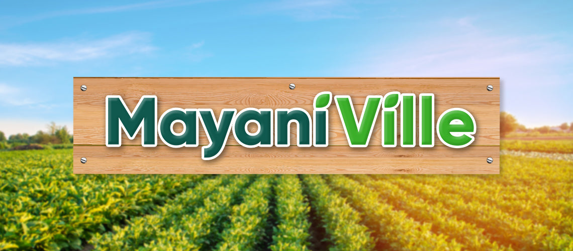 Mayani Ville