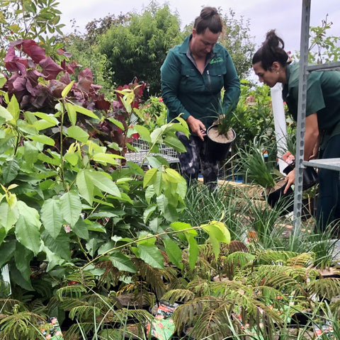 A lifetime of planting, growing. landscaping and farming.