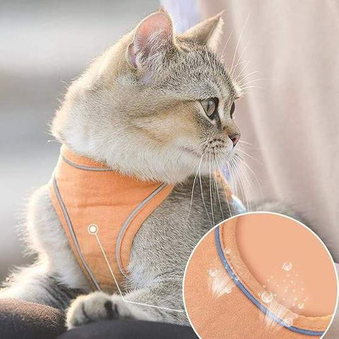 Coleira Peitoral Anti-Fuga + Guia para Passeio com Gatos - SafeCat™
