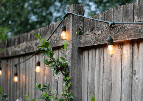 string lights on a fence