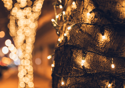 string lights around tree trunk