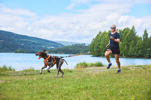 Chica corriendo canicross con su braco alemán a la orilla de un lago