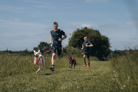 Ben Robinson y su padre corriendo canicross juntos.