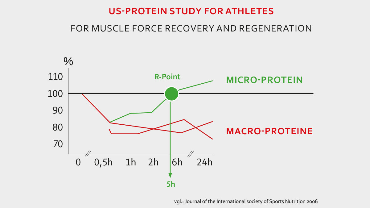 Muskelaufbau-mit Stieleis-Protein