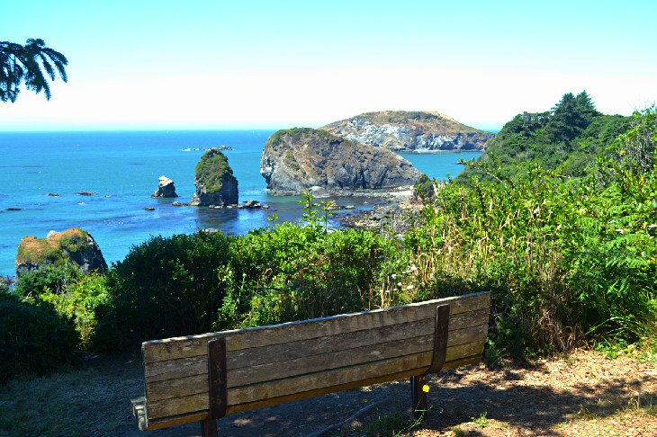 Harris Beach State Park 