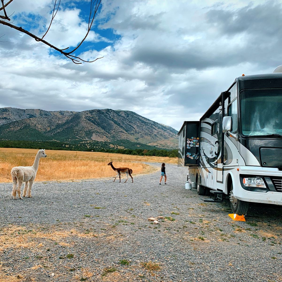 Living Our Dreams On The Open Road Shirly And Erez