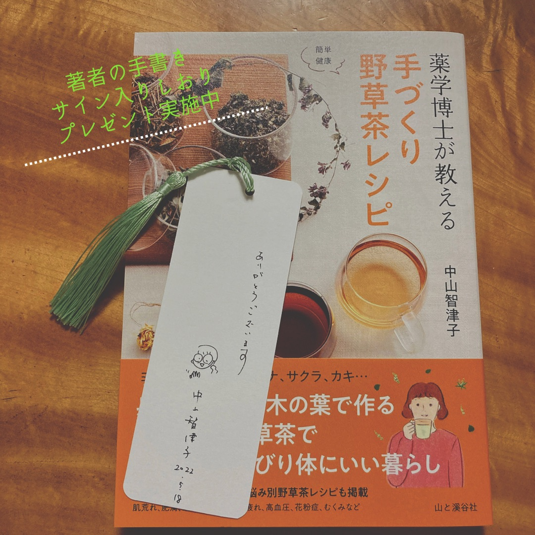 山と渓谷社 薬学博士が教える手作り野草茶レシピ 中山智津子著 なかよし薬局