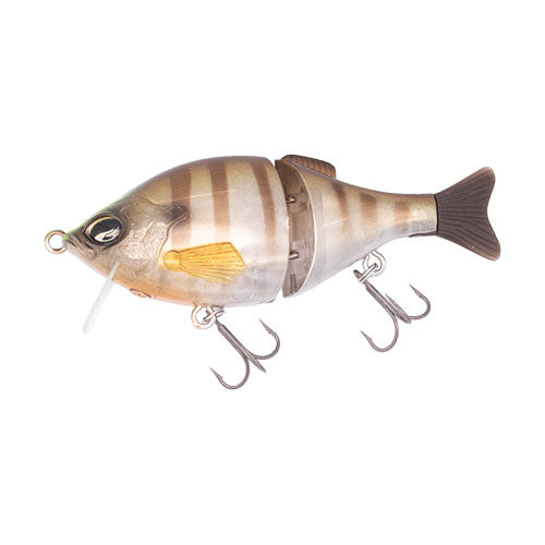 Geecrack Bellows Gill Swimmer #388 Golden Flash Gill / 4.2