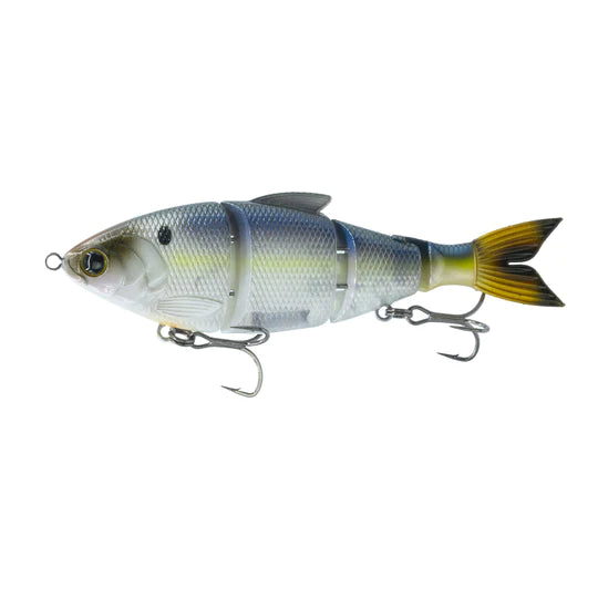 Easy to clean 6th Sense Fishing The Draw - Live Ghost Threadfin, in sale 6th  Sense Fishing Sales Store