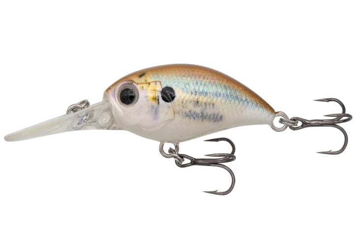 EUROTACKLE MICRO FINESSE CRAZY CRITTER 1.1