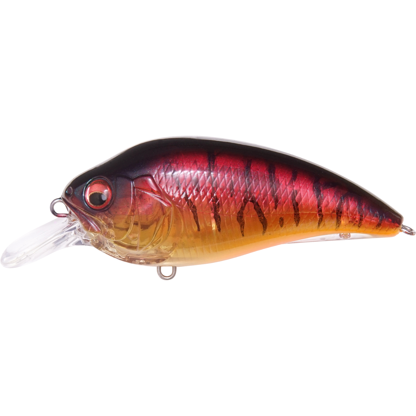 Megabass  Copperstate Tackle