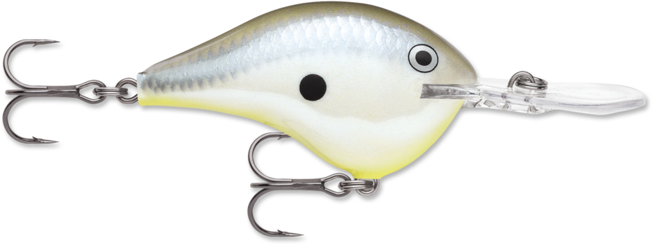 Lot of 2 Rapala Dive To DT10 DT6 Crankbait Lures Mardi Gras