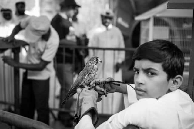 Boy with a Baby Falcon