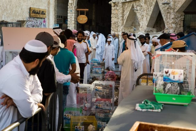 Bird Auction Souq Waqif