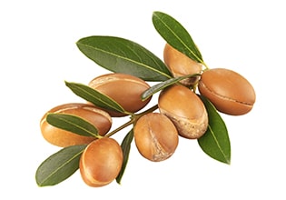 Argania Spinosa Kernel Oil