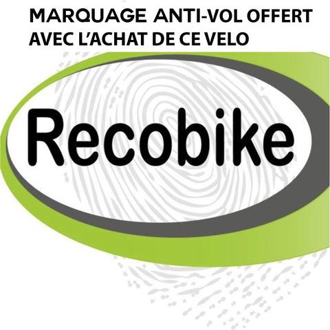 RECOBIKE ANTI-THEFT MARKING FREE WITH THE PURCHASE OF THIS BIKE