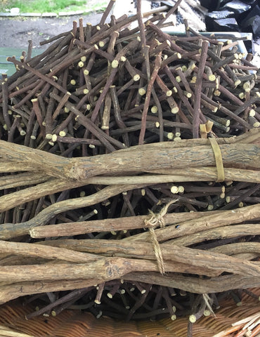 Die Lakritz-Boutique erklärt: Auch so kann die Wurzel der Süßholzpflanze aussehen