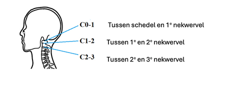 Gewrichten van bovenste drie nekwervels - hoofdpijn vanuit de nek