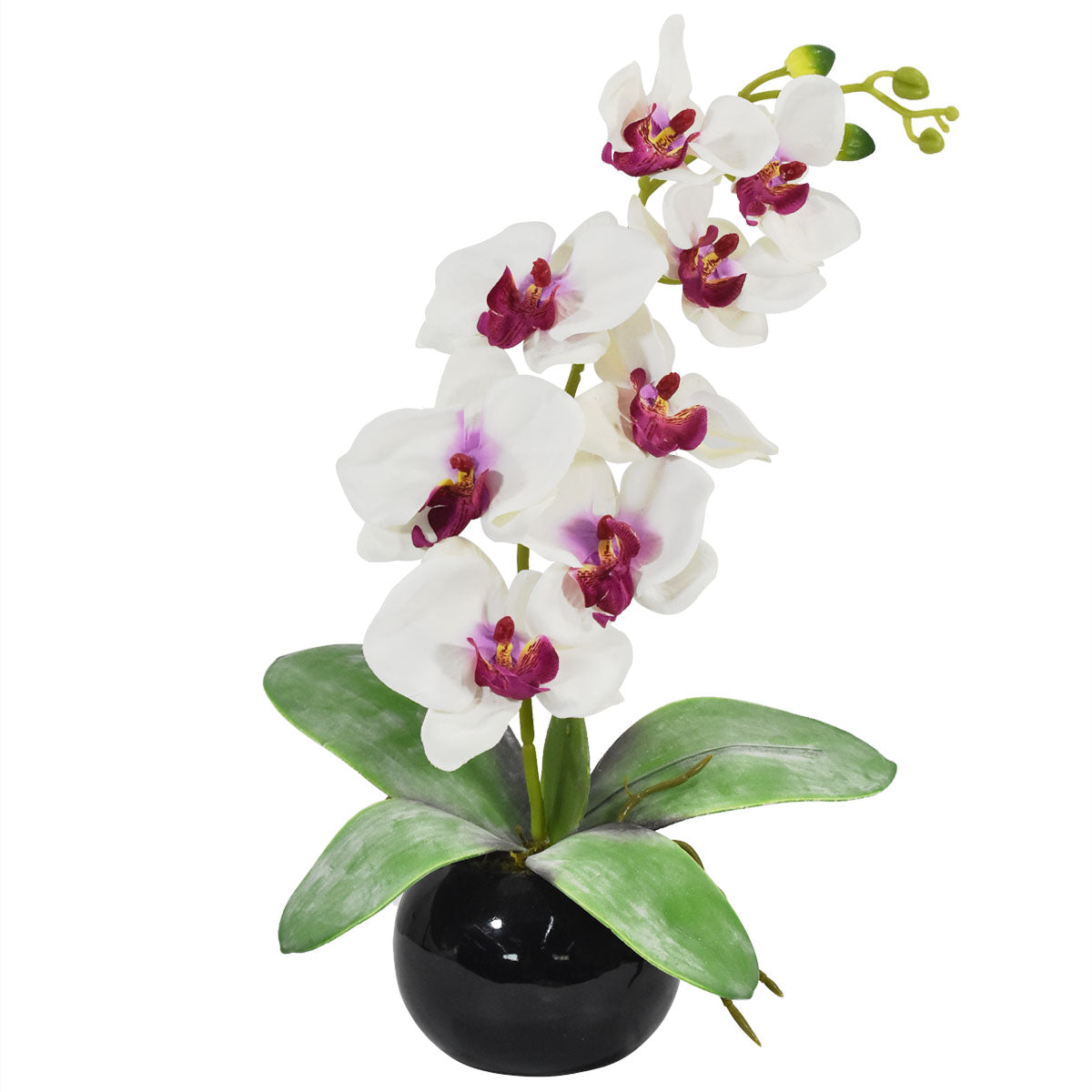 Arreglo Floral de Orquídeas Blanco / Morado – Blumart