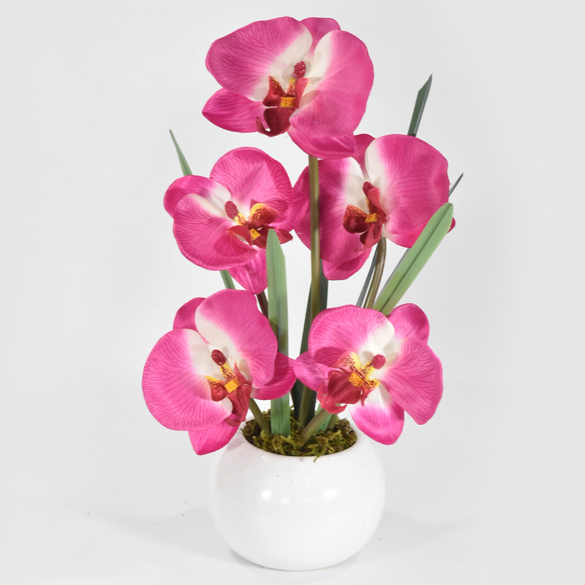 Arreglo Floral de Orquídeas Satinadas Sencillo Magenta – Blumart