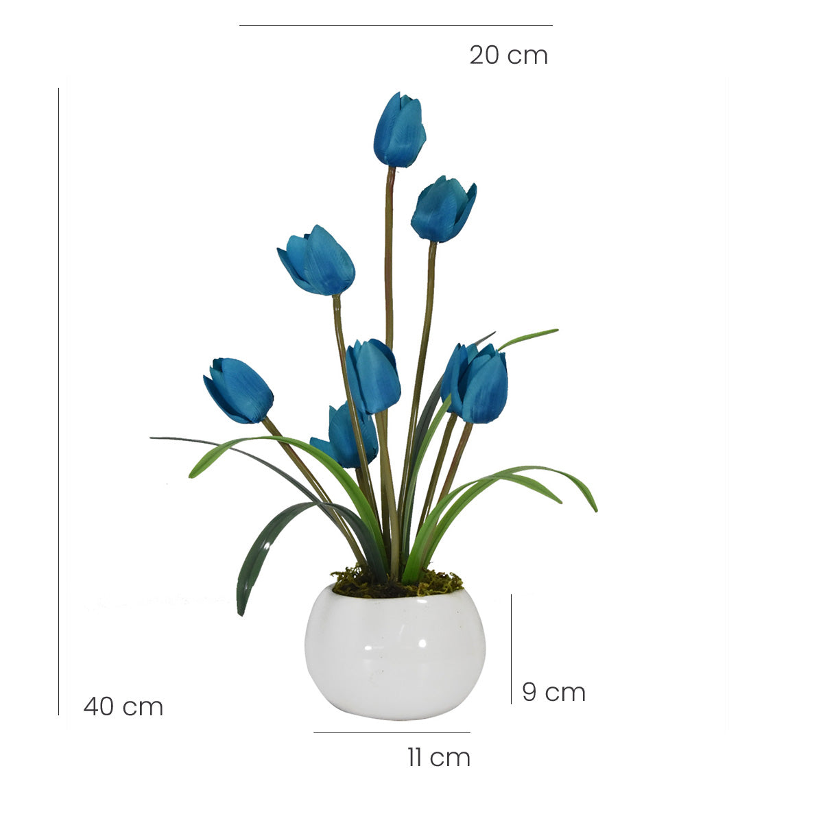 Arreglo Floral 8 Tulipanes Azul – Blumart