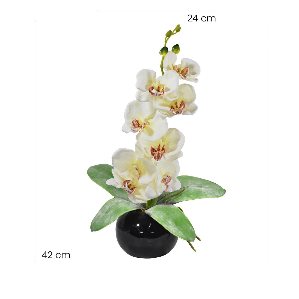 Arreglo Floral de Orquídeas Blanco – Blumart