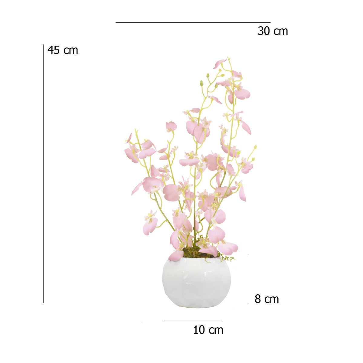 Arreglo Floral De Orquídeas Bailarina Rosa – Blumart