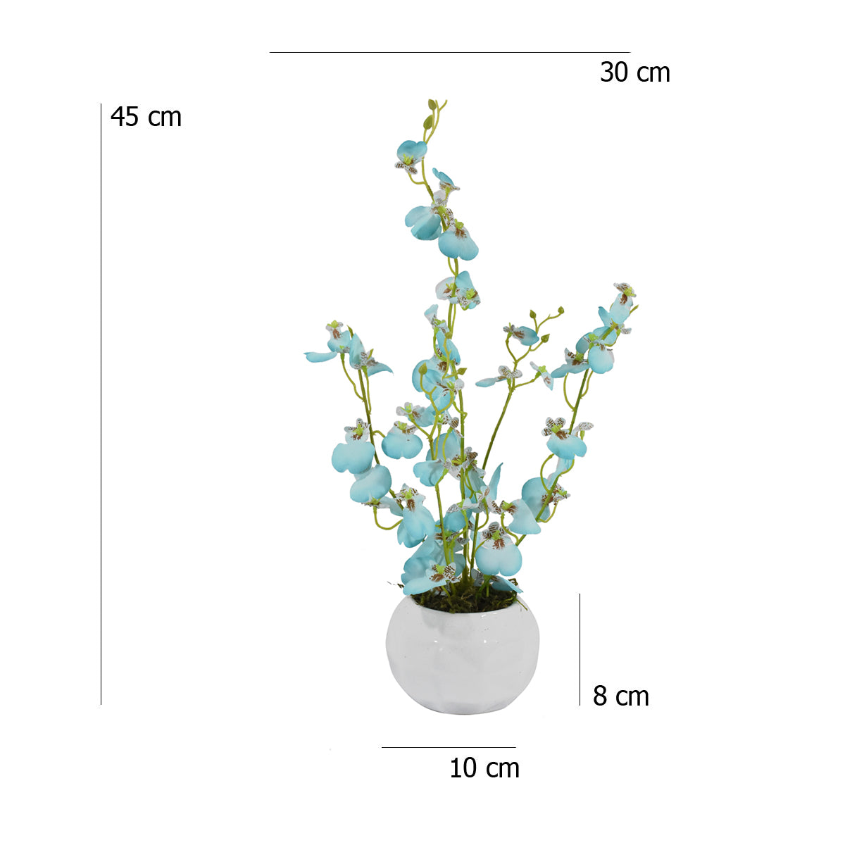 Arreglo Floral De Orquídeas Bailarina Azul – Blumart