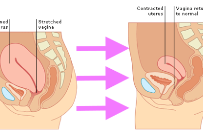 Postpartum stage 1