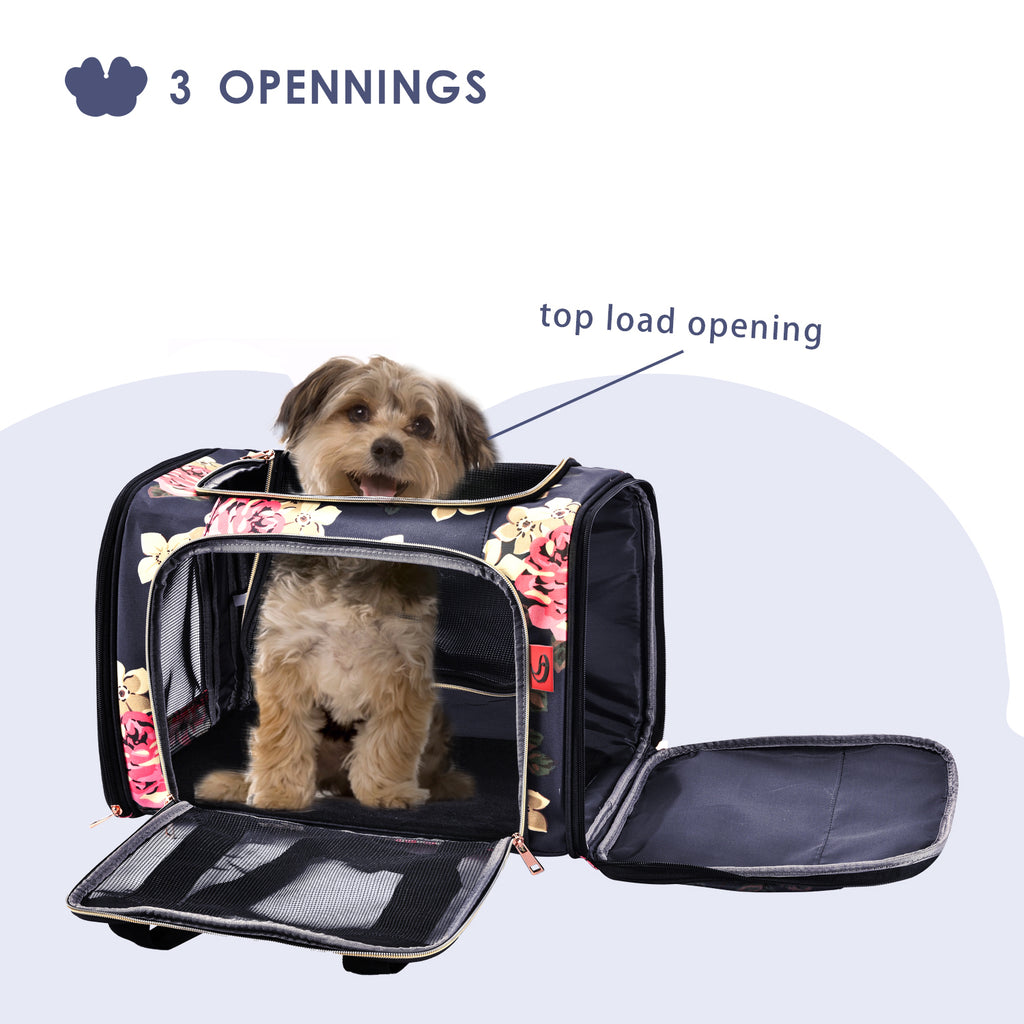 spacy pet carrier