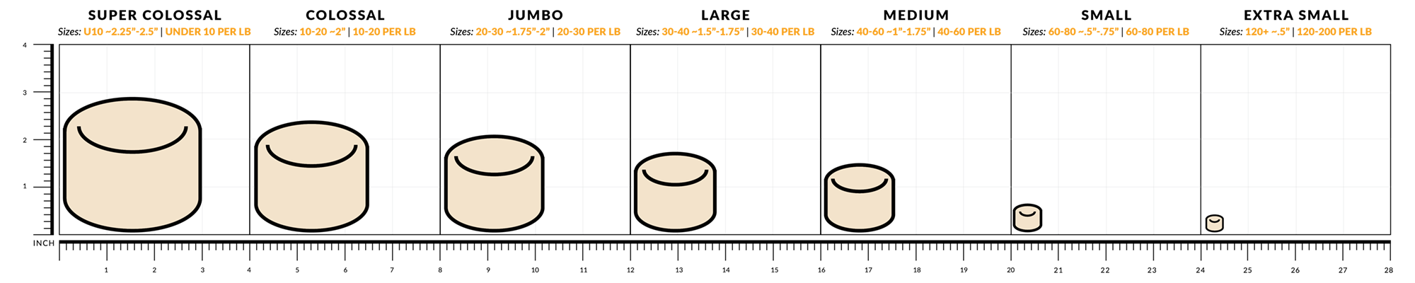 Scallop Size Chart