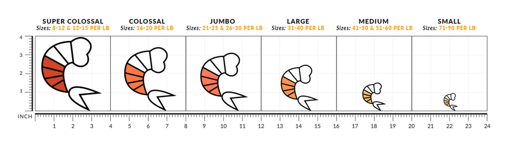 Shrimp Size Chart