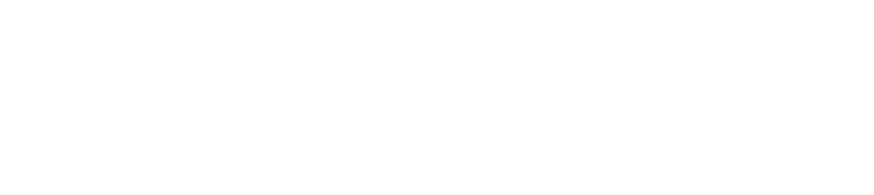 Bundles script in white