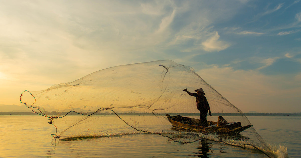 Cast Net Fishing