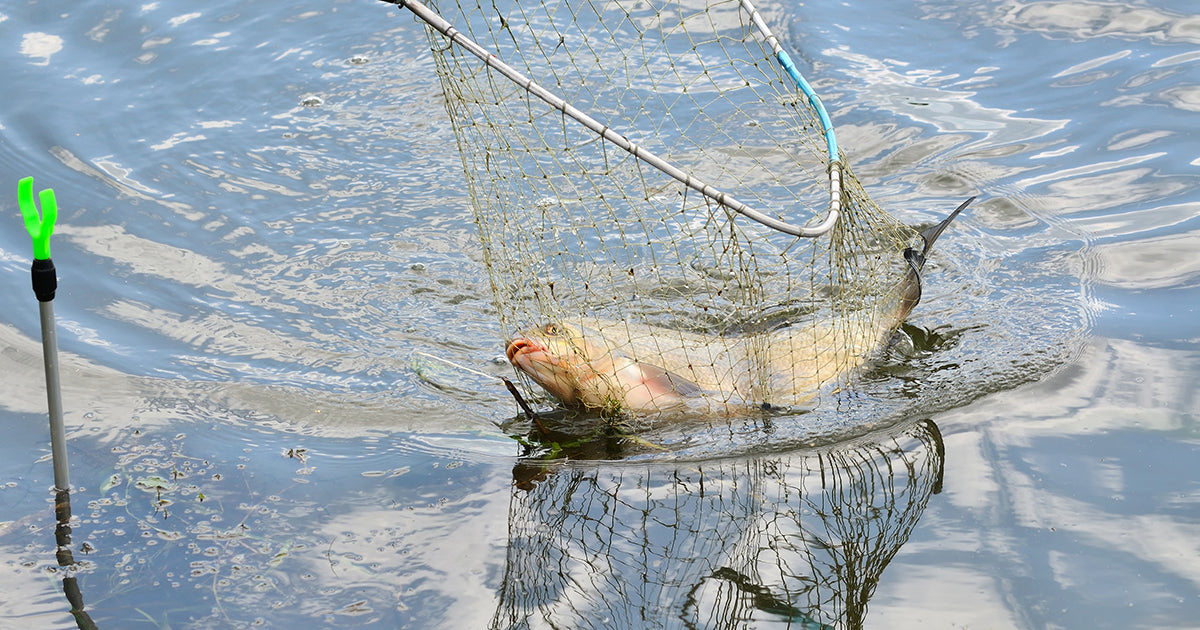 A small-scale fisher throws his cast net from his wooden rowing