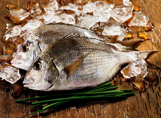 Dried stock fish available online,Denmark STOCK FISH price